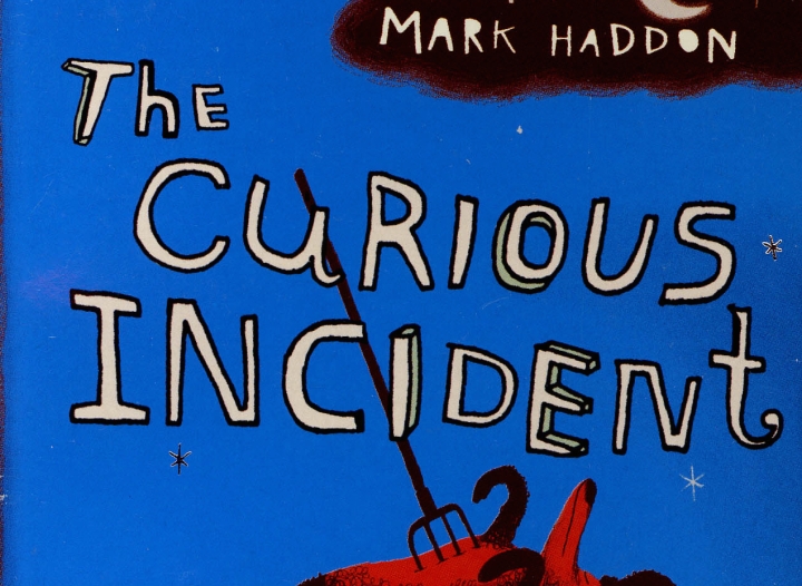 The Curious Incident of the Dog In the Night-Time